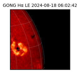 gong - 2024-08-18T06:02:42