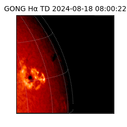gong - 2024-08-18T08:00:22