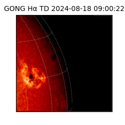 gong - 2024-08-18T09:00:22