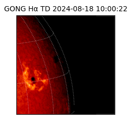 gong - 2024-08-18T10:00:22
