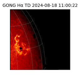 gong - 2024-08-18T11:00:22