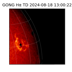 gong - 2024-08-18T13:00:22