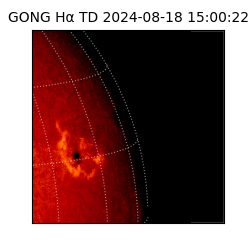 gong - 2024-08-18T15:00:22