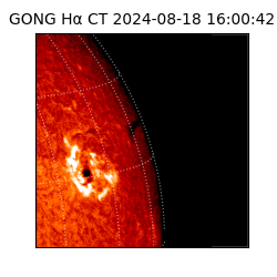 gong - 2024-08-18T16:00:42
