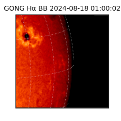 gong - 2024-08-18T01:00:02