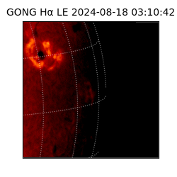 gong - 2024-08-18T03:10:42