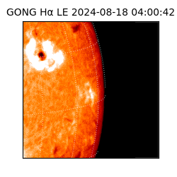 gong - 2024-08-18T04:00:42