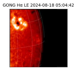 gong - 2024-08-18T05:04:42