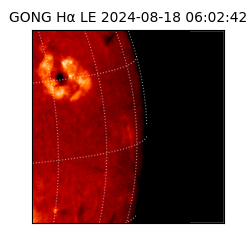gong - 2024-08-18T06:02:42