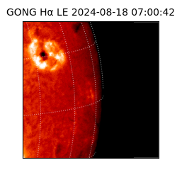 gong - 2024-08-18T07:00:42