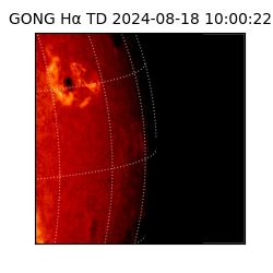 gong - 2024-08-18T10:00:22