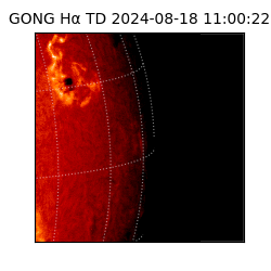 gong - 2024-08-18T11:00:22