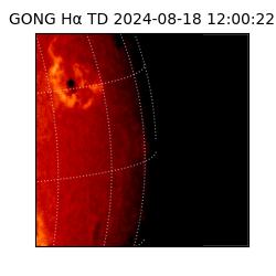 gong - 2024-08-18T12:00:22