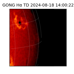 gong - 2024-08-18T14:00:22