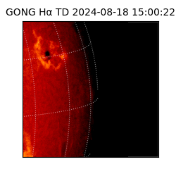 gong - 2024-08-18T15:00:22