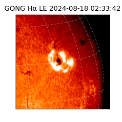 gong - 2024-08-18T02:33:42