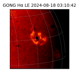 gong - 2024-08-18T03:10:42