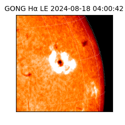 gong - 2024-08-18T04:00:42