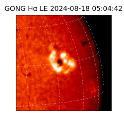 gong - 2024-08-18T05:04:42