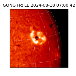 gong - 2024-08-18T07:00:42