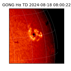 gong - 2024-08-18T08:00:22