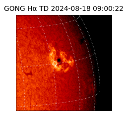 gong - 2024-08-18T09:00:22