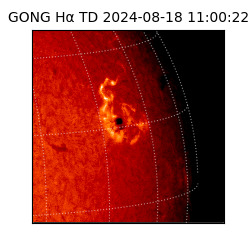 gong - 2024-08-18T11:00:22