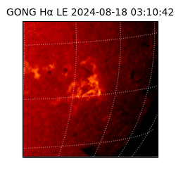 gong - 2024-08-18T03:10:42