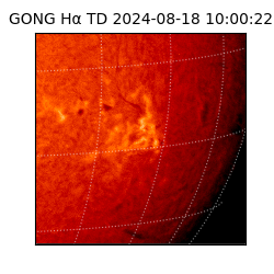 gong - 2024-08-18T10:00:22