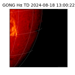 gong - 2024-08-18T13:00:22