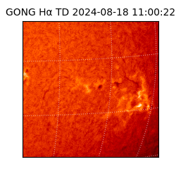 gong - 2024-08-18T11:00:22
