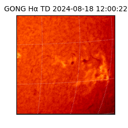 gong - 2024-08-18T12:00:22