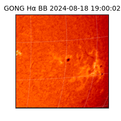 gong - 2024-08-18T19:00:02