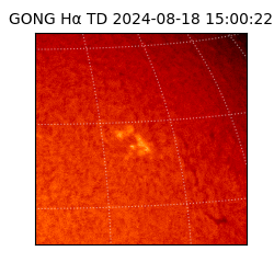 gong - 2024-08-18T15:00:22