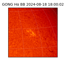 gong - 2024-08-18T18:00:02