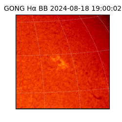 gong - 2024-08-18T19:00:02