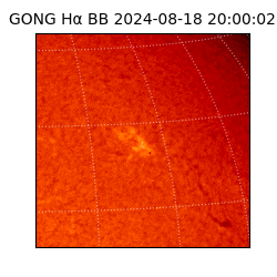 gong - 2024-08-18T20:00:02