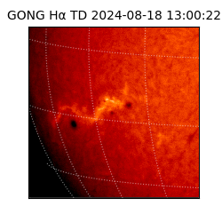 gong - 2024-08-18T13:00:22