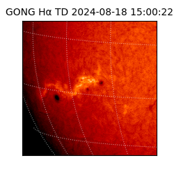 gong - 2024-08-18T15:00:22