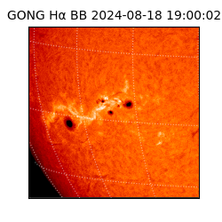 gong - 2024-08-18T19:00:02