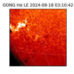 gong - 2024-08-18T03:10:42