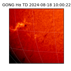 gong - 2024-08-18T10:00:22