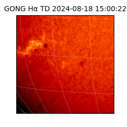 gong - 2024-08-18T15:00:22