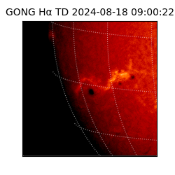 gong - 2024-08-18T09:00:22