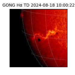 gong - 2024-08-18T10:00:22