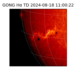 gong - 2024-08-18T11:00:22