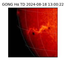 gong - 2024-08-18T13:00:22