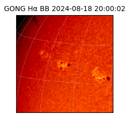 gong - 2024-08-18T20:00:02