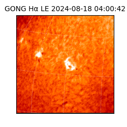 gong - 2024-08-18T04:00:42