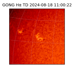 gong - 2024-08-18T11:00:22